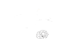 Bratislavské regionálne ochranárske združenie